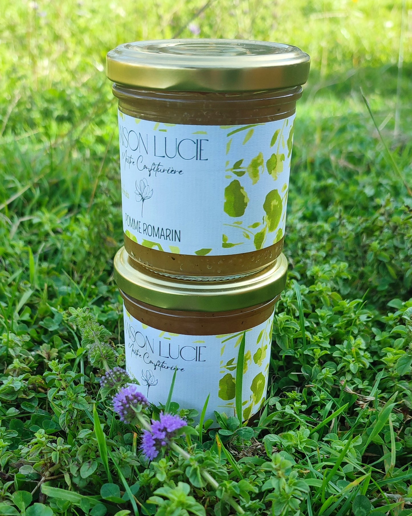 POMME ROMARIN 70% de fruits