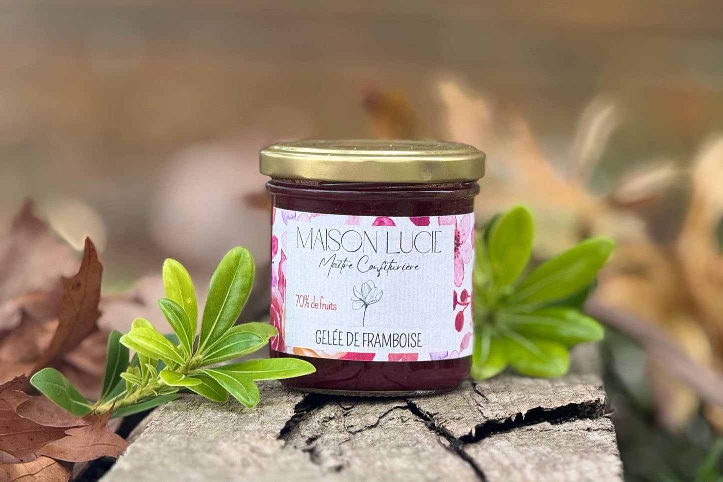 FRAMBOISE 70% de fruits
