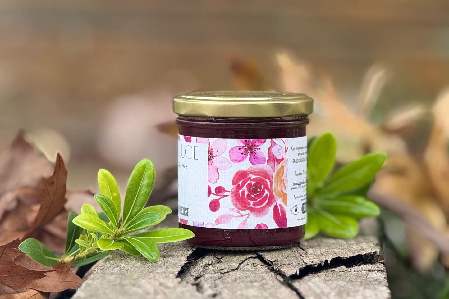 FRAMBOISE 70% de fruits