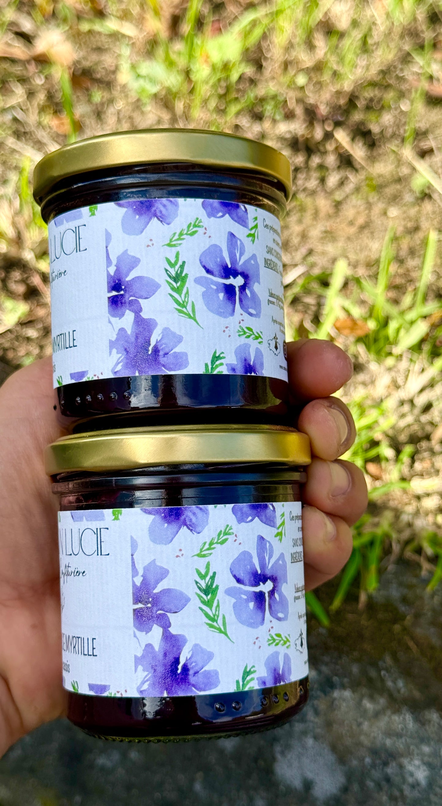 MÛRE FRAISE MYRTILLE CASSIS 70 % de fruits