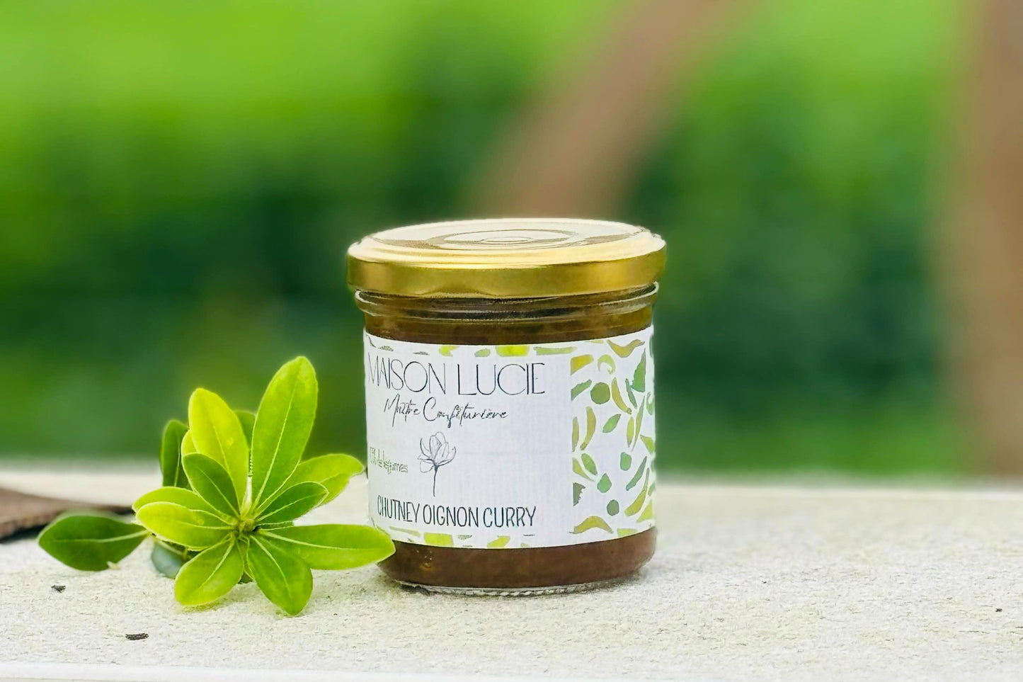 CHUTNEY OIGNONS CURRY 70 % de légumes