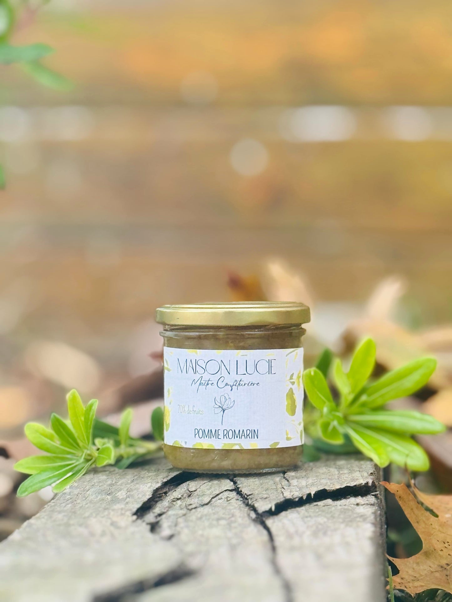 POMME ROMARIN 70% de fruits