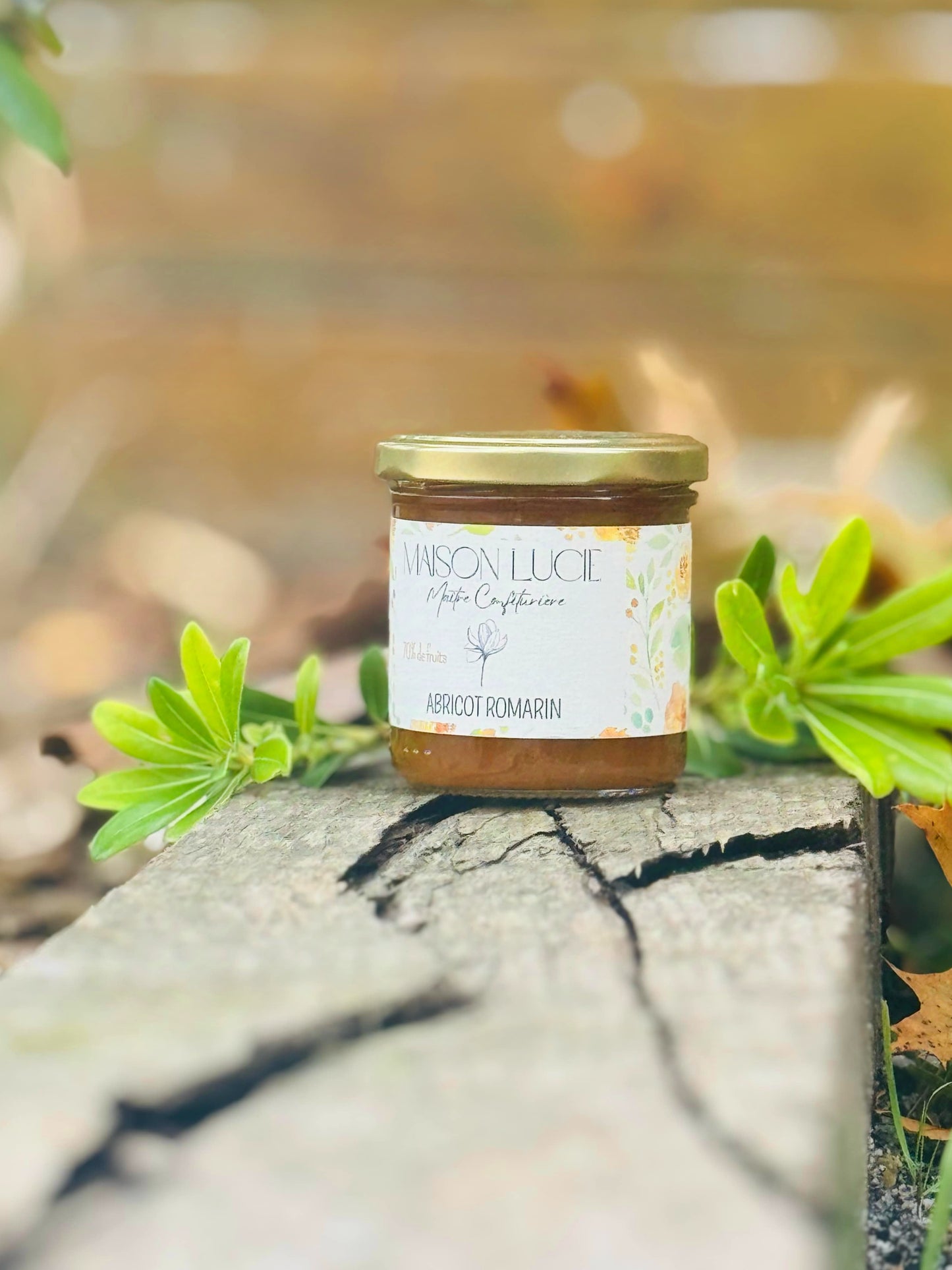 ABRICOT ROMARIN 70% de fruits