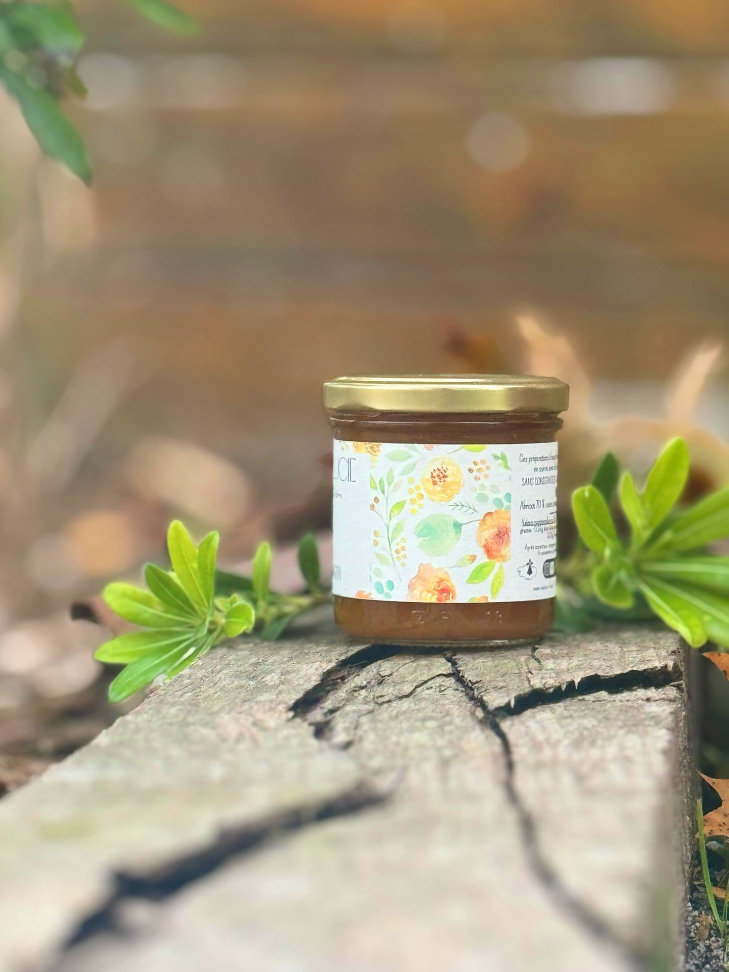 ABRICOT ROMARIN 70% de fruits