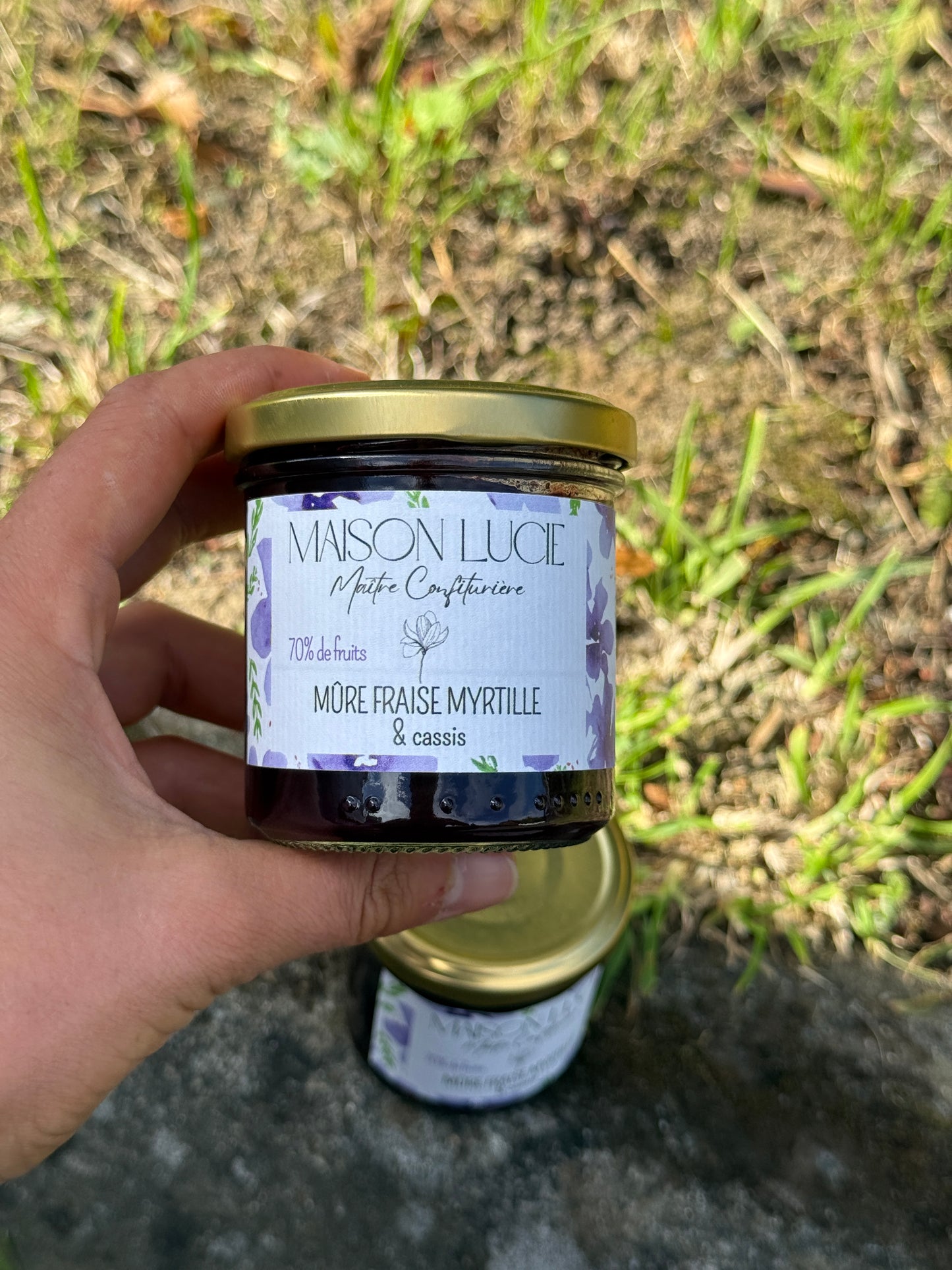 MÛRE FRAISE MYRTILLE CASSIS 70 % de fruits