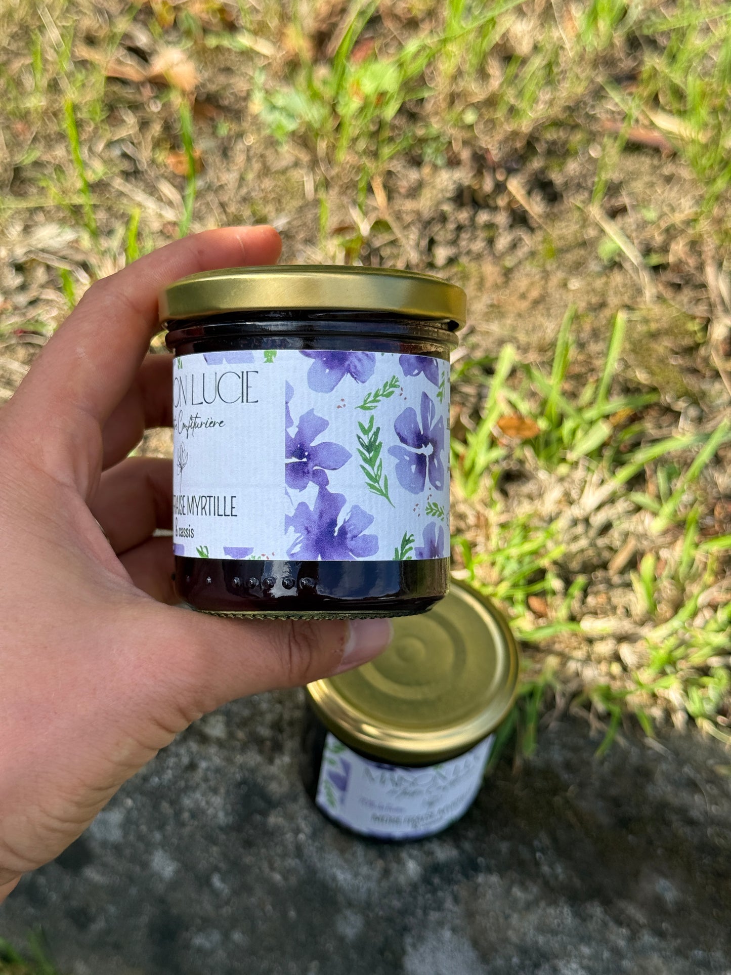 MÛRE FRAISE MYRTILLE CASSIS 70 % de fruits