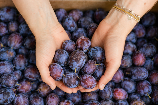 Confiture de Prune Quetsche 70% de fruits